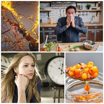 Utile, Foto: Colaj foto