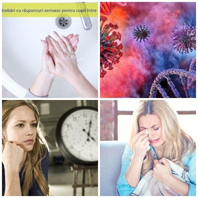 Utile, Foto: Colaj foto