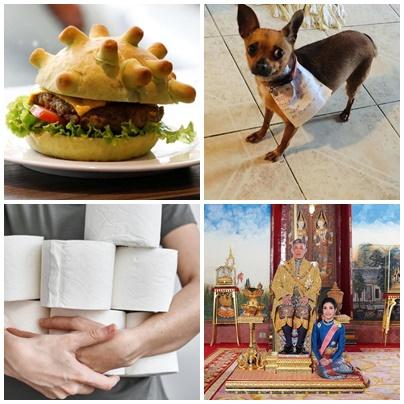 Faze tari, Foto: Colaj foto