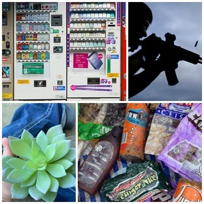 Faze tari, Foto: Colaj foto