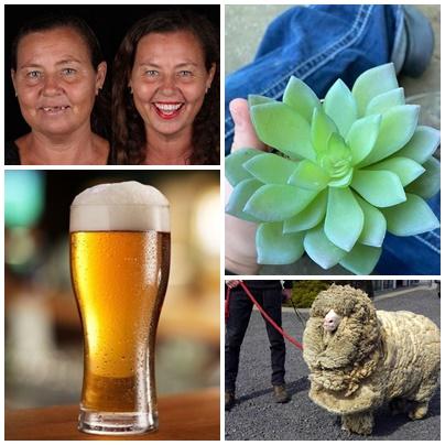 Faze tari, Foto: Colaj foto