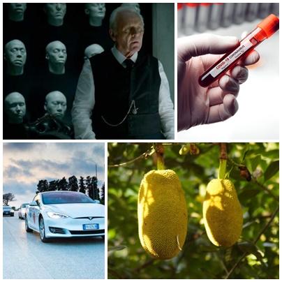 Faze tari, Foto: Colaj foto