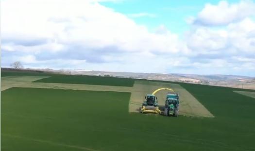 Modalitate de aratare a multumirii, Foto: Captura Facebook