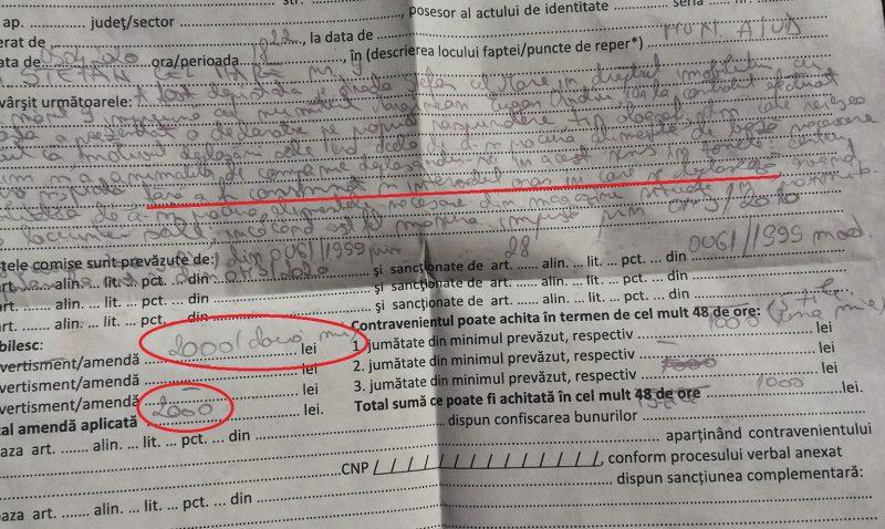 Amenda, Foto: alba24