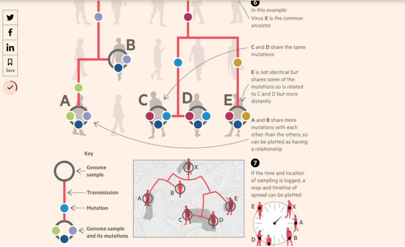 harta mutatiilor coronavirusului, Foto: Financial Times