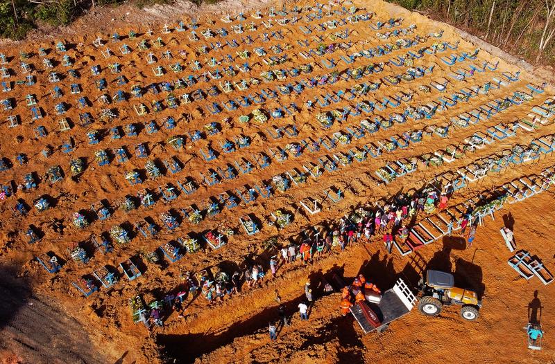 Gropi comune in Brazilia, Foto: Michael Dantas/AFP/ Profimedia