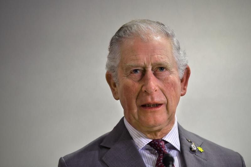 Printul Charles, Foto: REX / Shutterstock Editorial / Profimedia