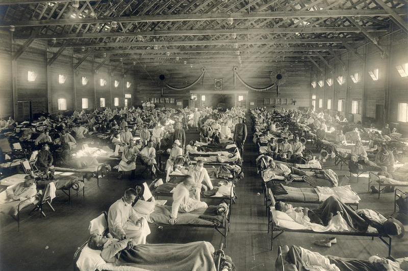 Gripa spaniola, Foto: Wikipedia