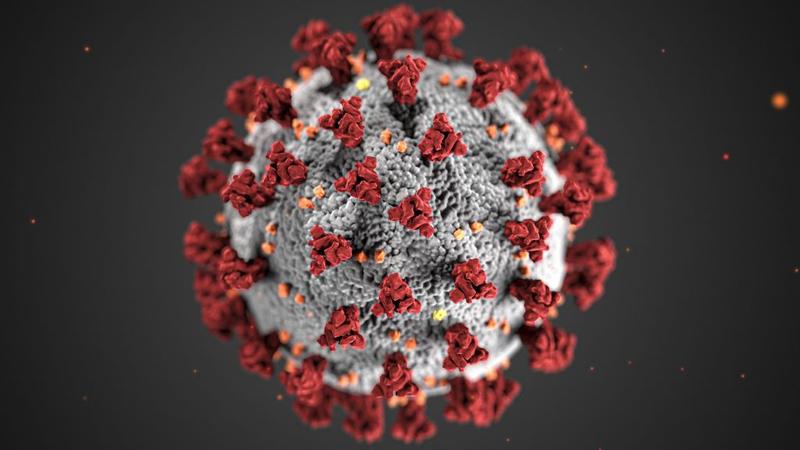 Coronavirus, Foto: Pixhere