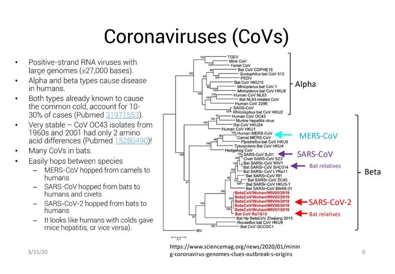 Coronavirusuri, Foto: EurActiv.ro