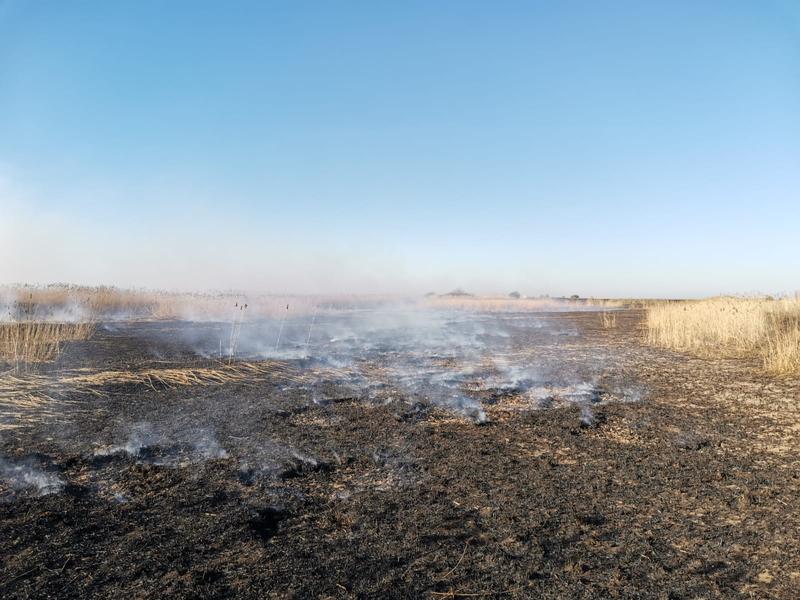 Incendiu Peris 7-8 aprilie 2020 - 4, Foto: ISU Bucuresti-Ilfov