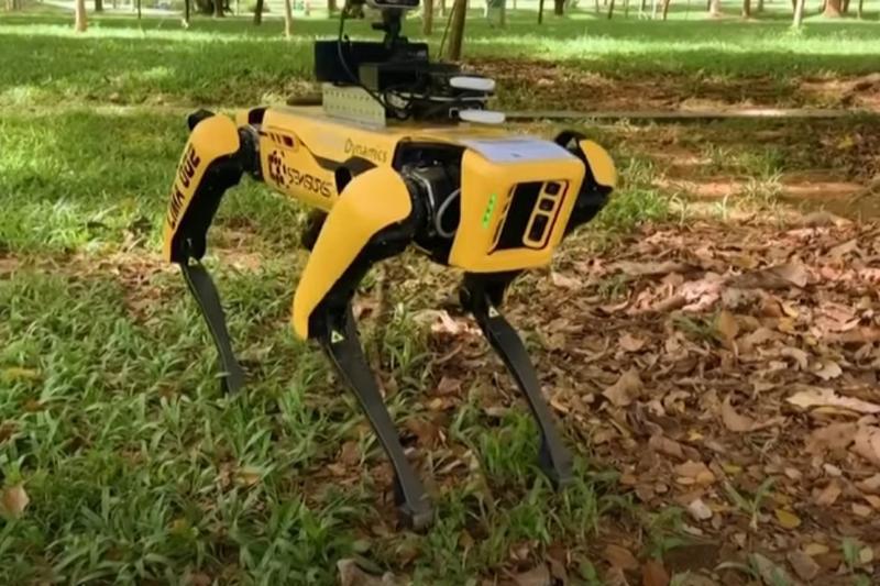 SPOT, cainele robot, Foto: Captura video