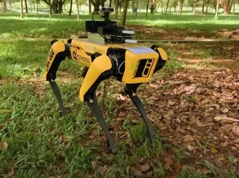 SPOT, cainele robot, Foto: Captura video