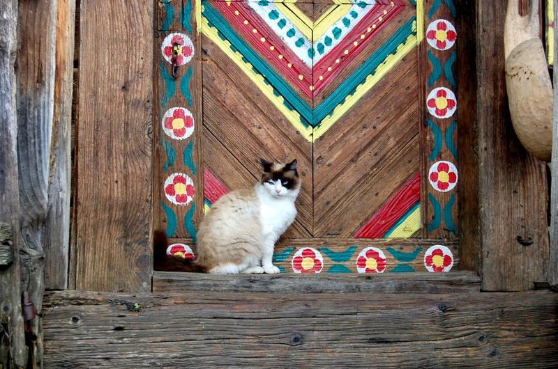 Casă din Breb, Maramures, Foto: TravelZoom.ro