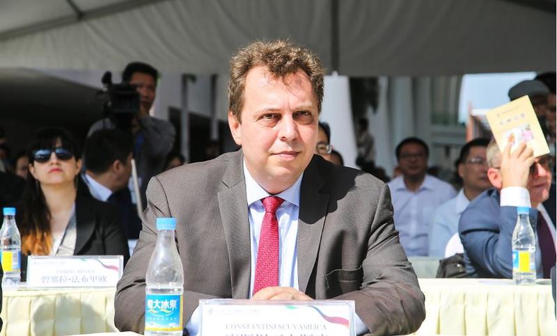 Vasilica Constantinescu, Foto: mae.ro