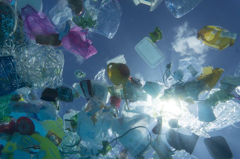 Plastic ocean, Foto: Paulo de Oliveira / Ardea / Profimedia Images