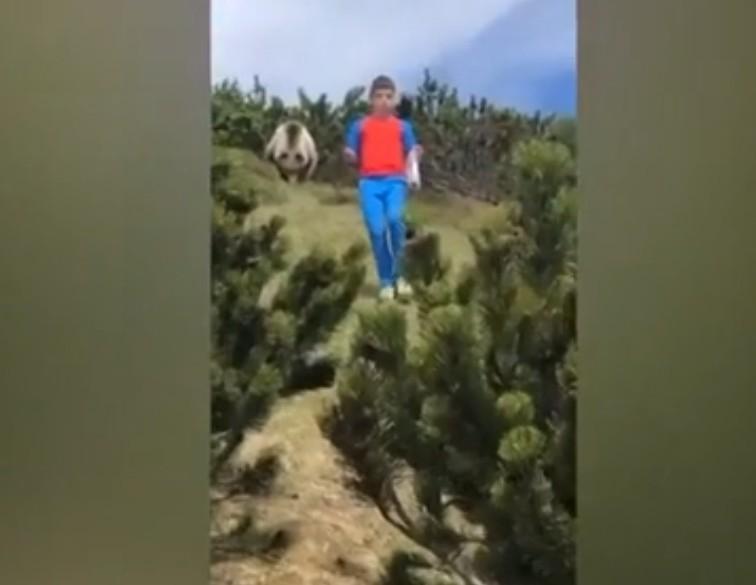 Baiatul si ursul (screenshot), Foto: Hotnews