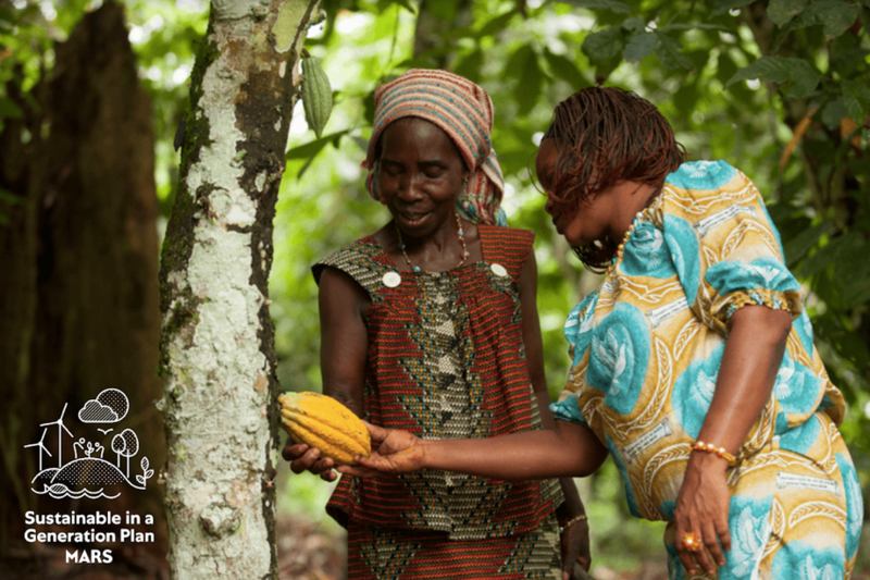 Cultivatori de cacao, Foto: Mars