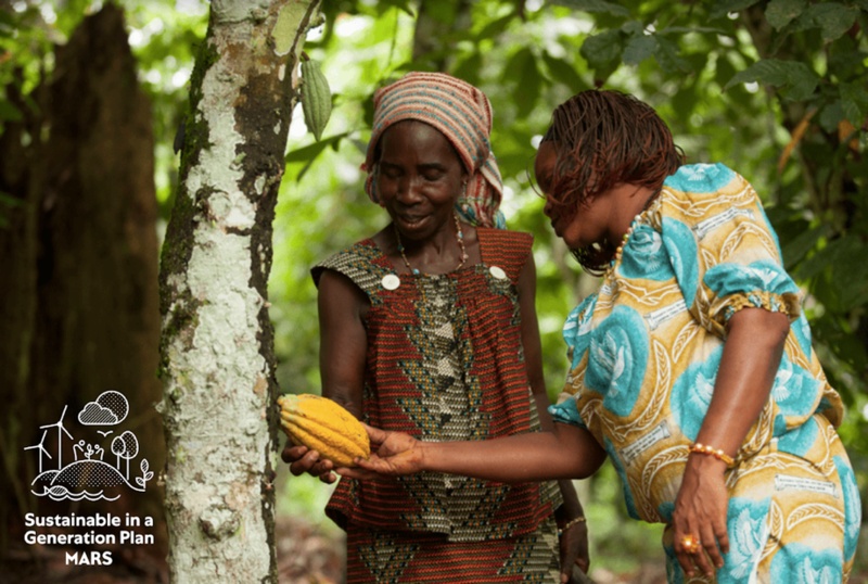 Cultivatori de cacao, Foto: Mars