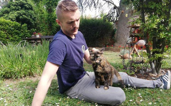 Pisica Papille (sursa foto: twitter), Foto: Hotnews