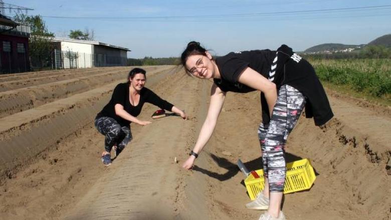 germani, Foto: rnz.de