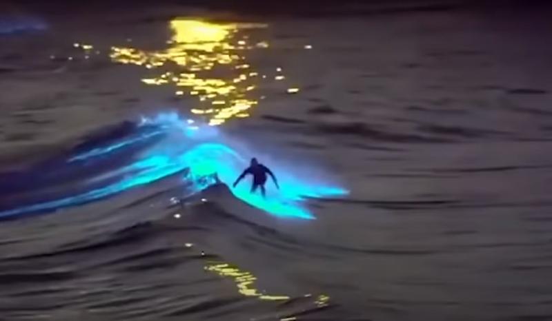 Surfing pe bioluminescenta, Foto: Captura YouTube