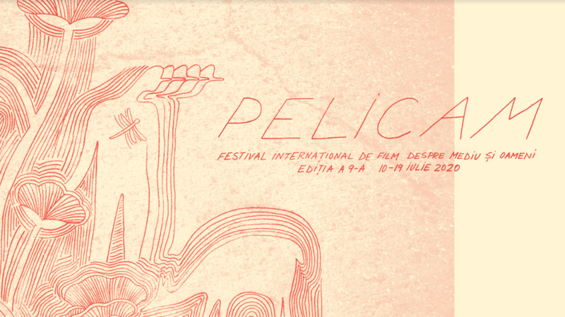 Pelicam, Foto: Pelicam