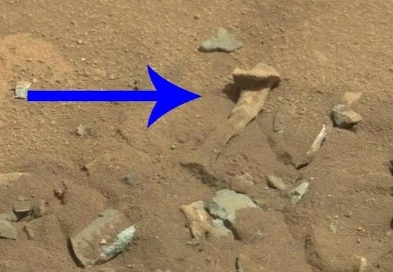 Un os de om pe Marte, Foto: NASA