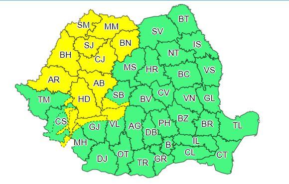 Cod galben, Foto: ANM