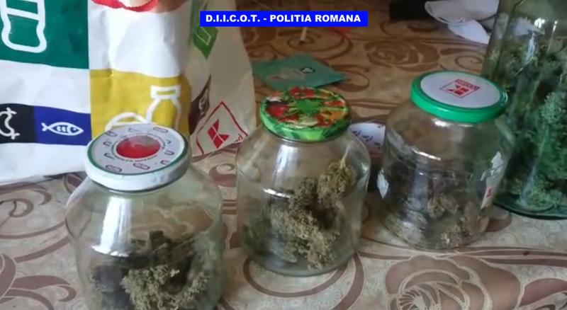 Cannabis gasit in locuinta lui Pierre Yves Ragot, Foto: DIICOT