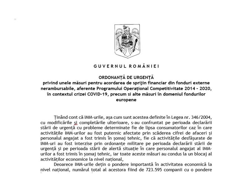 Proiect OUG scheme finantare firme pfa, Foto: Hotnews