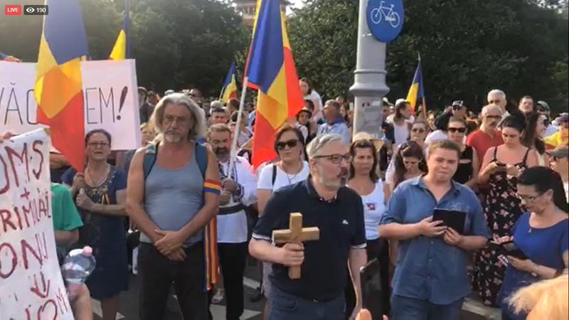 Protest Piata Victoriei, Foto: Captura video