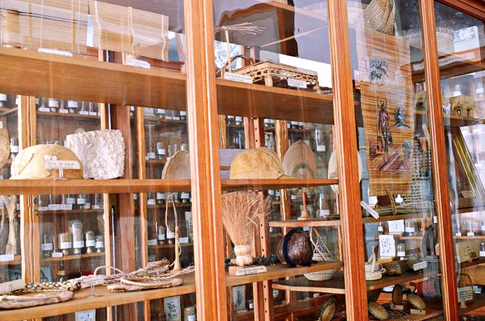 Imagine de la Muzeul Botanic din Cluj-Napoca | Credit foto: Mira Kaliani, Foto: editiadedimineata.ro