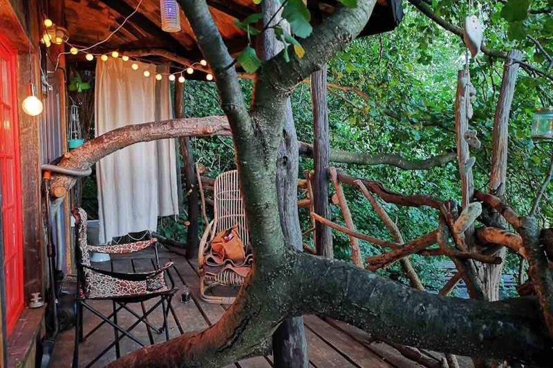 Forest Tree House, Foto: Airbnb