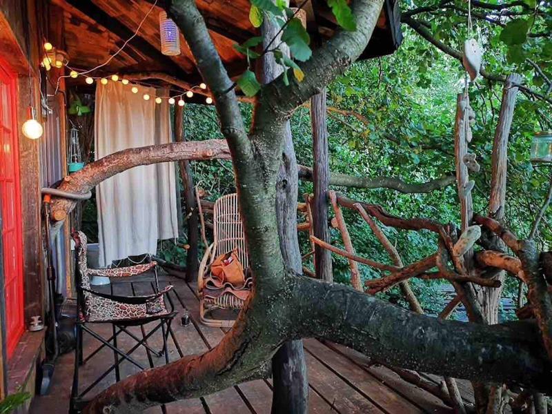 Forest Tree House, Foto: Airbnb
