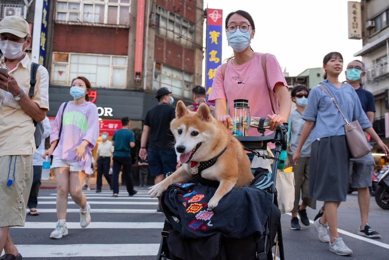 Coronavirus Taiwan, Foto: Profimedia Images