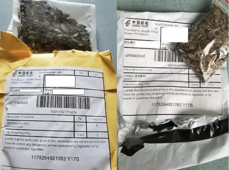 Pachet seminte China, Foto: Alabama Department of Agriculture