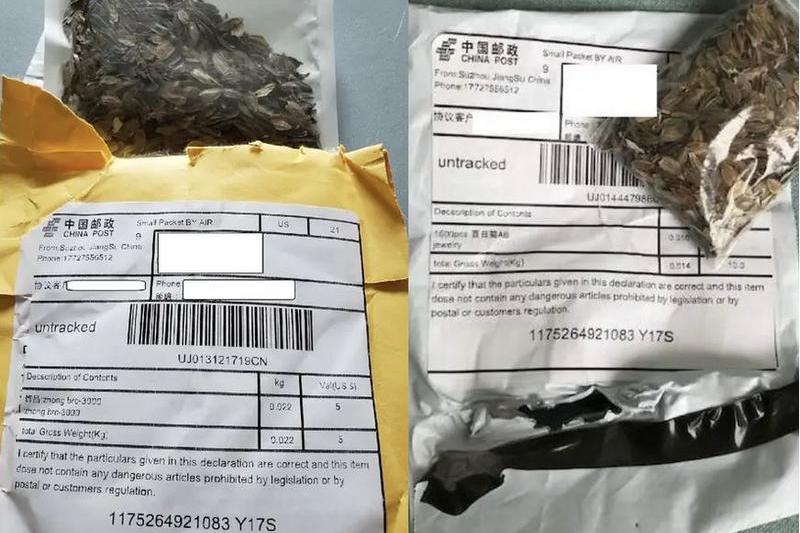 Pachet seminte China, Foto: Alabama Department of Agriculture