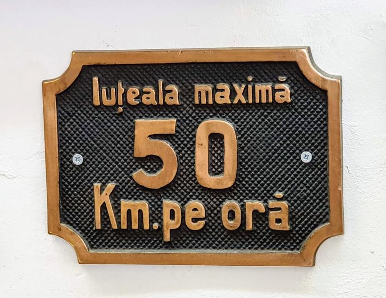 Iuteala maxima, Foto: Hotnews