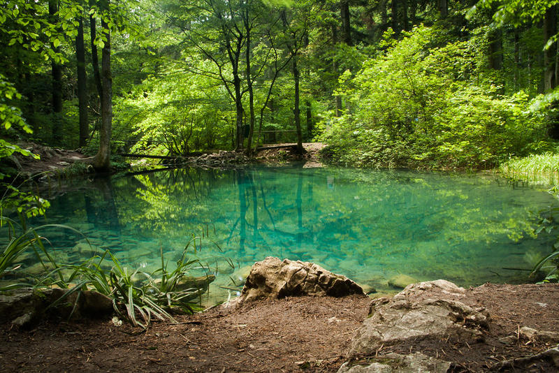 Lacul Ochiul Beiului, Foto: Cristiana Bardeanu via flickr