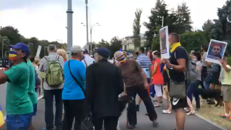 Protest Piata Victoriei, Foto: Captura video