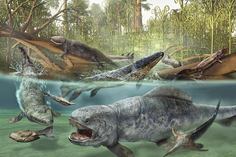 Devonian, Foto: paleontology.us