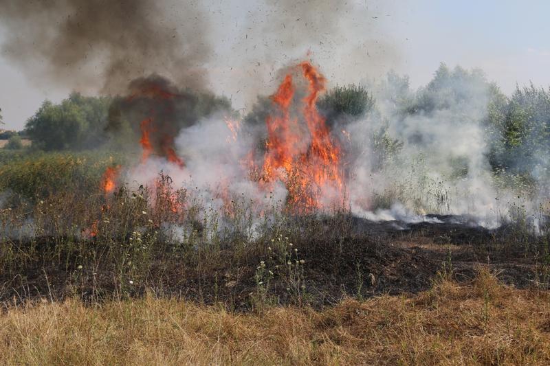 incendiu de vegetatie , Foto: ISU Bucuresti-Ilfov