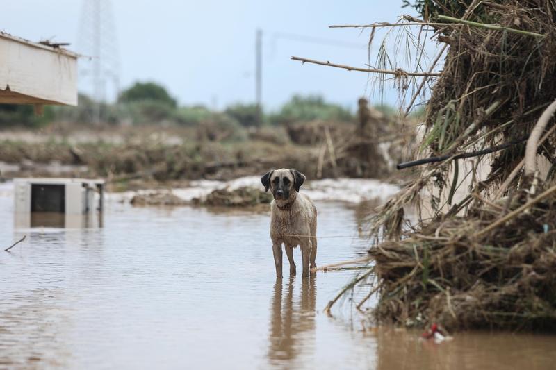 Inundatii in Grecia, Foto: Zuma / SplashNews.com / Splash / Profimedia