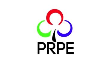 Partida Romilor Pro Europa, Foto: