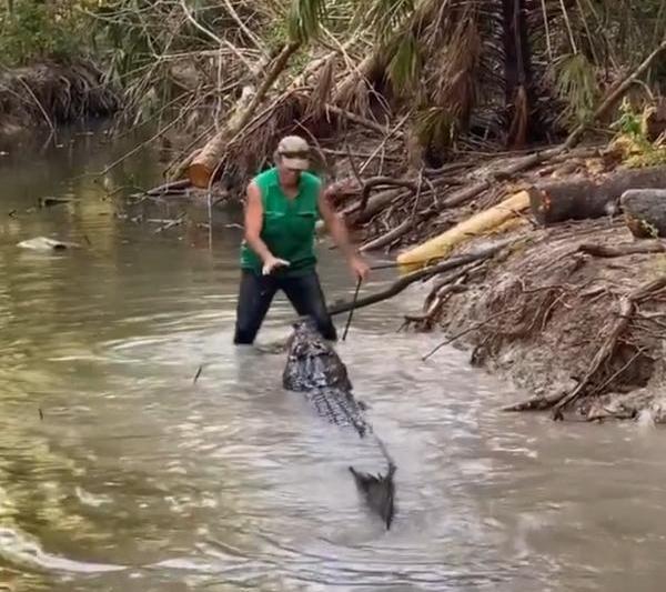 Screenshot, Foto: Hotnews