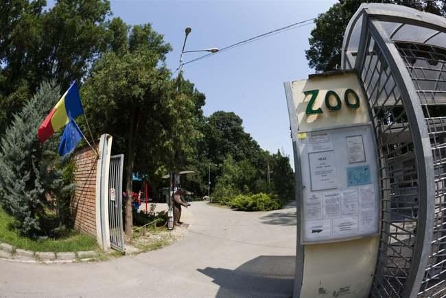 Zoo Timisoara, Foto: Timisoara Online
