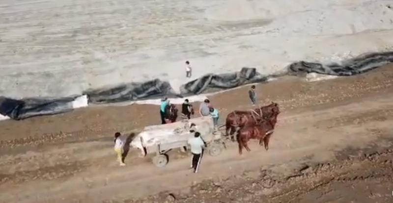 Persoane care furau fier, filmate cu drona, Foto: Captura video Facebook