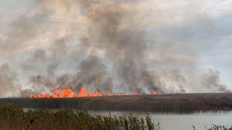 incendiu in Delta Dunării, la Grindul Chituc, Foto: Hotnews