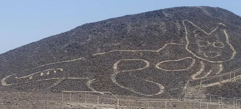 Pisica Nazca, Foto: Captura YouTube